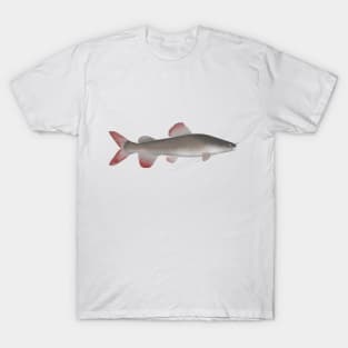 Asian Redtail Catfish T-Shirt